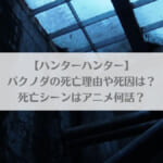 「パクノダの死亡理由や死因は？死亡シーンはアニメ何話？【ハンターハンター】」のアイキャッチ画像