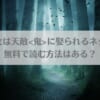 「最強巫女は天敵に娶られるネタバレ！無料で読む方法はある？」のアイキャッチ画像