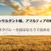 「コンサルタント嬢アマルティアの婚姻なろうが原作小説？ネタバレを最終回結末まで紹介」のアイキャッチ画像