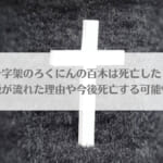 「十字架のろくにんの百木は死亡した？死亡説が流れた理由や今後死亡する可能性は？」のアイキャッチ画像