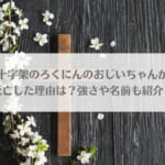 「十字架のろくにんのおじいちゃんが死亡した理由は？強さや名前も紹介！」のアイキャッチ画像