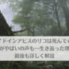 「メイドインアビスのリコは死んでる？正体がやばいの声も…生き返った理由と最後も詳しく解説」のアイキャッチ画像